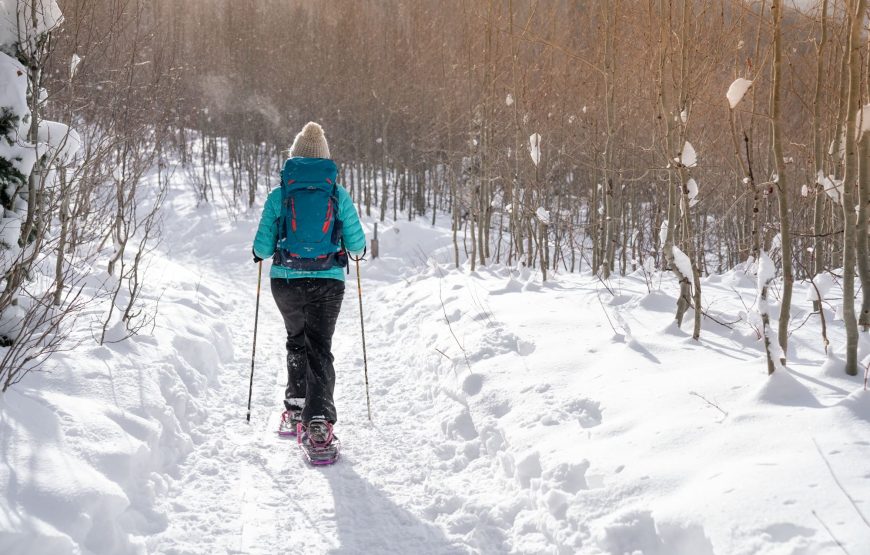 Snowshoeing Adventure